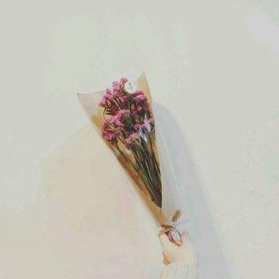 剑雨苍穹果盘版下载